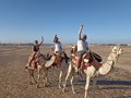 Camel Riding (2 hrs) 