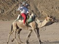 Camel Riding (2 hrs) 