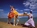 Camel Riding (2 hrs) 